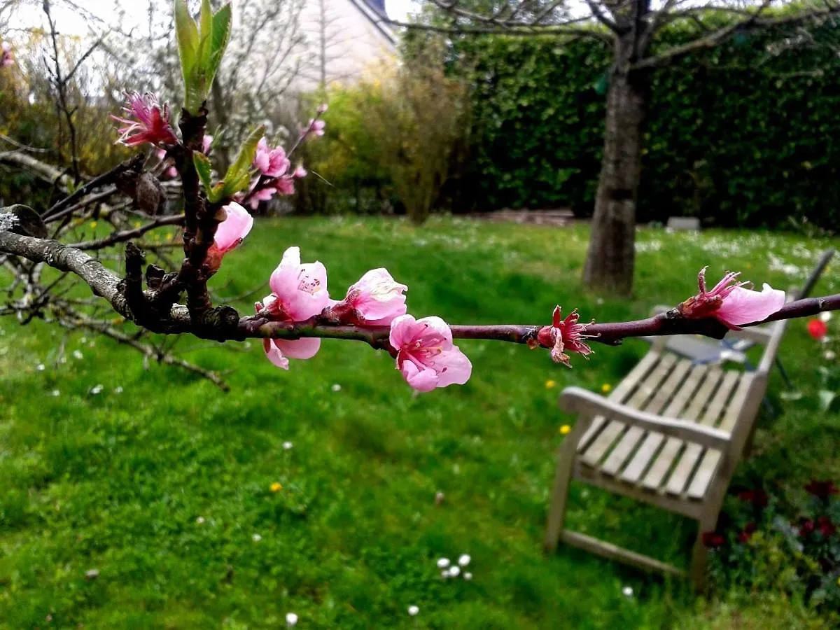 Bed and breakfast Maison La Chapelle 0*, La Chapelle-des-Fougeretz France